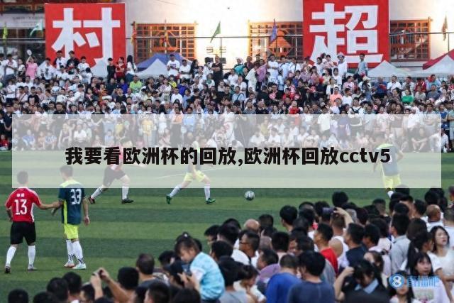 我要看欧洲杯的回放,欧洲杯回放cctv5