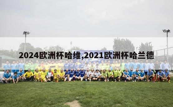 2024欧洲杯哈维,2021欧洲杯哈兰德