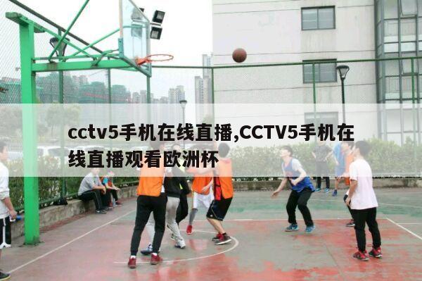 cctv5手机在线直播,CCTV5手机在线直播观看欧洲杯