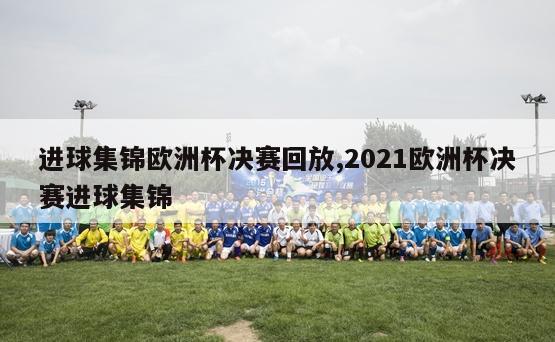 进球集锦欧洲杯决赛回放,2021欧洲杯决赛进球集锦